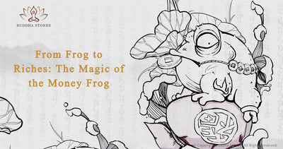 Magic of the Money Frog: From Frog to Riches