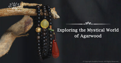Agarwood: The Spiritual Significance and Healing Properties
