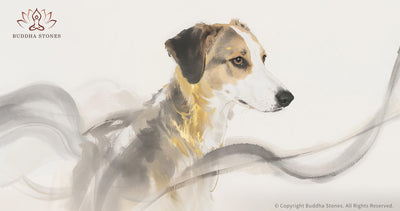 Chinese Zodiac Dog: What Your Birth Year Reveals About You