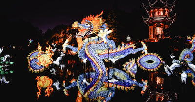 Chinese Dragons: What Does the Chinese Dragon Symbolize?