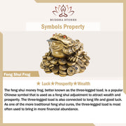 Buddha Stones Laughing Buddha Feng Shui Frog Toad Copper Coins Attract Wealth Resin Statue Home Decoration Decorations BS 6