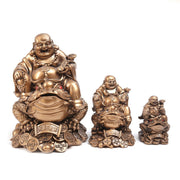 Buddha Stones Laughing Buddha Feng Shui Frog Toad Copper Coins Attract Wealth Resin Statue Home Decoration Decorations BS 11