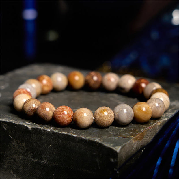 Buddha Stones Fossil Coral Compassion Bracelet Bracelet BS Fossil Coral(Wrist Circumference: 14-16cm) 9-10mm