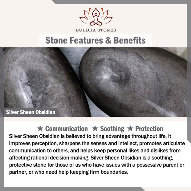 Buddha Stones Silver Sheen Obsidian Coconut Shell Protection Bracelet - image 6