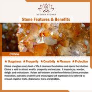 Buddha Stones Natural Citrine Irregular Bead Petals Pleasure Bracelet