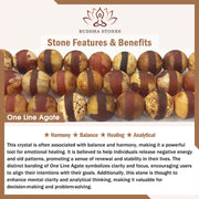 Buddha Stones Tibetan Nine-eye Dzi Bead Natural Sandalwood White Cat's Eye Agate Power Protection Bracelet Bracelet BS 22