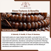 Buddha Stones 108 Mala Beads Bowl Bodhi Seed Colored Rope Peace Bracelet