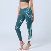 Buddha Stones Lush Turquoise Bamboo Panda Pattern Gym Leggings Women's Yoga Pants - Teal - US18，UK/AU22，EU50 (4XL) - image 1
