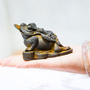 Buddha Stones Handmade Feng Shui Frog Toad Copper Coins Iron Powder Rust Cast Resin Statue Home Decoration Decorations BS 15