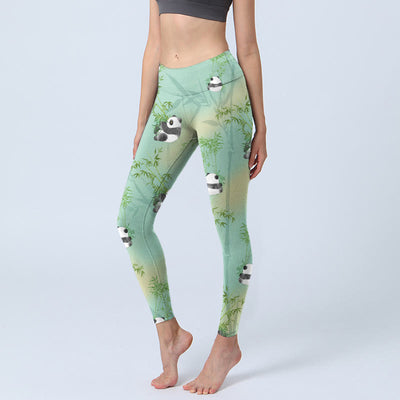 Buddha Stones Bamboo Panda Print Gym Leggings Women's Yoga Pants - Aquamarine - US18，UK/AU22，EU50 (4XL) - image 1