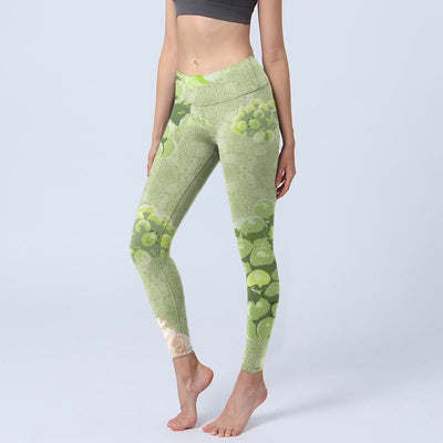 Buddha Stones Green Grapes Pink Roses Gym Leggings Women's Yoga Pants - YellowGreen - US18，UK/AU22，EU50 (4XL) - image 1