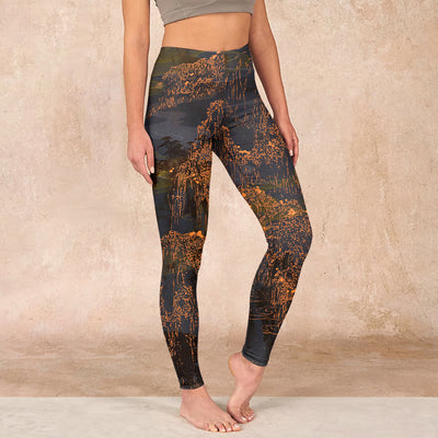 Buddha Stones Golden Mountains Clouds Print Gym Leggings Women's Yoga Pants Leggings BS SaddleBrown US18，UK/AU22，EU50 (4XL)