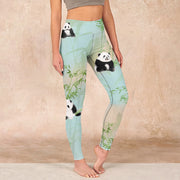 Buddha Stones Pandas Bamboo Print Gym Leggings Women's Yoga Pants Leggings BS Aquamarine US18，UK/AU22，EU50 (4XL)