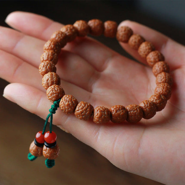 FREE Today: Auspiciousness Luck Tibetan Rudraksha Bodhi Seed Agate Bracelet