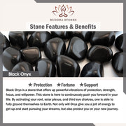 FREE Today: Courage and Power Natural Tiger Eye Black Magnetite Black Onyx Double Row Beads Bracelet
