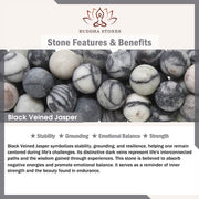 FREE Today: Emotional Balance and Strength Handmade Save A Cat Black Veined Jasper Bracelet - image 9