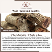 FREE Today: Wealth and Blessing Peach Wood Cinnabar Sword Charm Bracelet - image 5