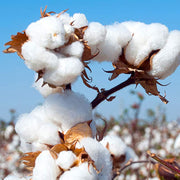 Buddha Stones Meditation Zen Prayer Spiritual Tai Chi Qigong Practice Unisex Embroidery Clothing Set (Extra 30% Off | USE CODE: FS30) - image 19