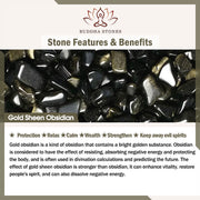 Buddha Stones Black Obsidian Gold Sheen Obsidian Strengthen Bracelet Bracelet BS 8
