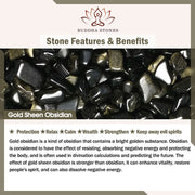 Buddha Stones Gold Sheen Obsidian PiXiu Wealth Rope Necklace Pendant Bracelet