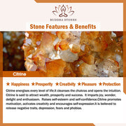 Buddha Stones Natural Citrine Amethyst Rutilated Quartz Prosperity Protection Bracelet Bracelet BS 5