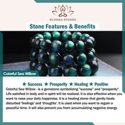Buddha Stones Sea Willow Beads Color Change Pi Xiu Protection Bracelet - image 3