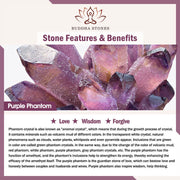 Buddha Stones Purple Phantom Purple Jade Scripture Citrine Love Wisdom Bracelet Bangle