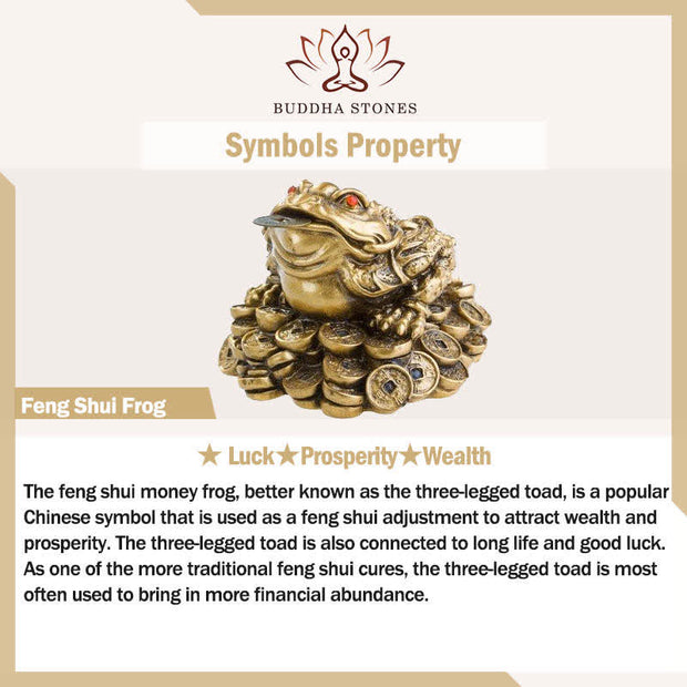 Buddha Stones FengShui Wealth Lucky Frog Decoration Decoration BS 7