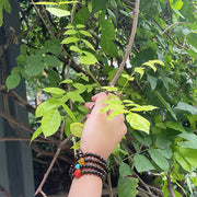 Buddha Stones Nha Trang Bai Qinan Agarwood Turquoise Amber Red Agate Strength Meditation Bracelet Bracelet BS 15