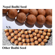 Buddha Stones 108 Mala Beads Nepal Bodhi Seed Luck Wealth Tassel Bracelet Mala Bracelet BS 12
