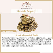 Buddha Stones Genstone PiXiu Feng Shui Frog Vajra Dorje Heart Sutra Wealth Adjustable Ring Ring BS 9