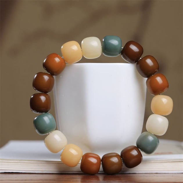 Buddha Stones Multicolored Bodhi Seed Keep Away Evil Spirits Bracelet ...