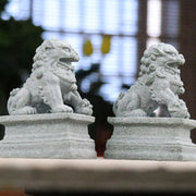 Buddha Stones Lion Fu Foo Dogs Elephant Ward Off Evil Blessing Home Decoration Decoration BS 6