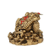 Buddha Stones FengShui Wealth Lucky Frog Decoration Decoration BS 5