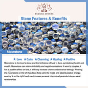 Buddha Stones Natural Moonstone Flower Chram Healing Beads Bracelet Bracelet BS 11