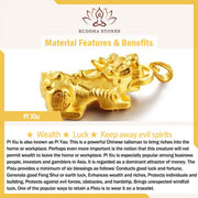 Buddha Stones Handmade Cute PiXiu Gold Coin Crystal Fengshui Energy Wealth Fortune Home Decoration Decorations BS 29