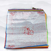 Buddha Stones Tibetan 5 Colors Windhorse Blessing Outdoor 20 Pcs Prayer Flag Decoration Decorations buddhastoneshop 7