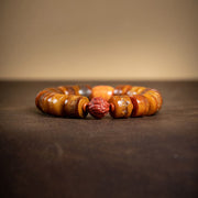 Buddha Stones Tibetan Natural Camel Bone Amber Red Agate Turquoise Protection Luck Bracelet Bracelet BS 4