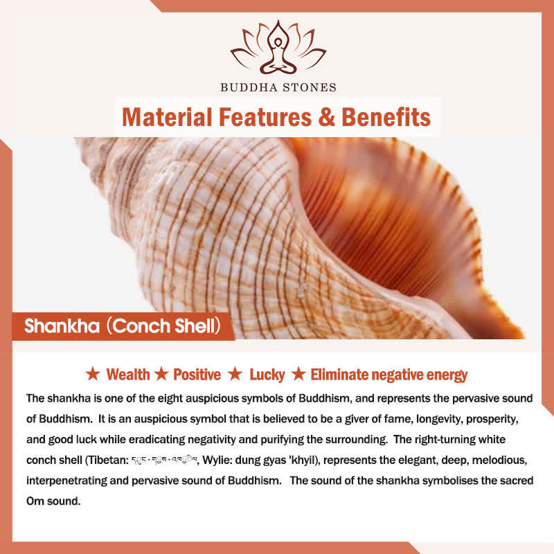 Conch Shell Divination TIBETAN CONCH SHELL-Buddha Stones – buddhastoneshop