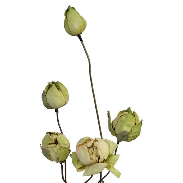 Buddha Stones Natural Dried Lotus Flower Stemmed Plant Bouquet Home Decoration Ornaments