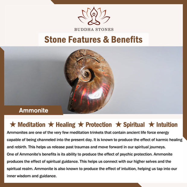 Buddha Stones Natural Ammonite Fossil Snail Pattern Meditation Healing Necklace Pendant