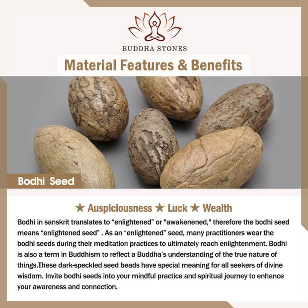 Features & Benefits of the Bodhi Seed